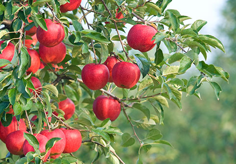 테스트 아이탬1